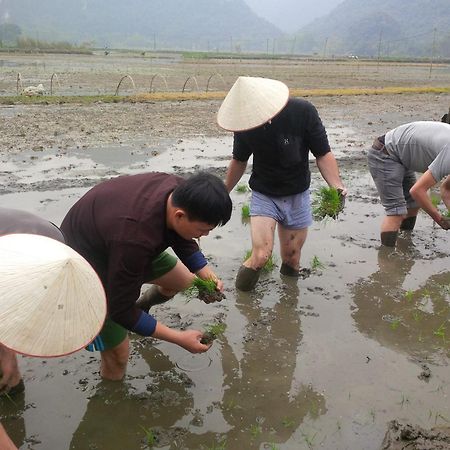 Tam Coc Rice Fields Resort Ninh Binh Esterno foto