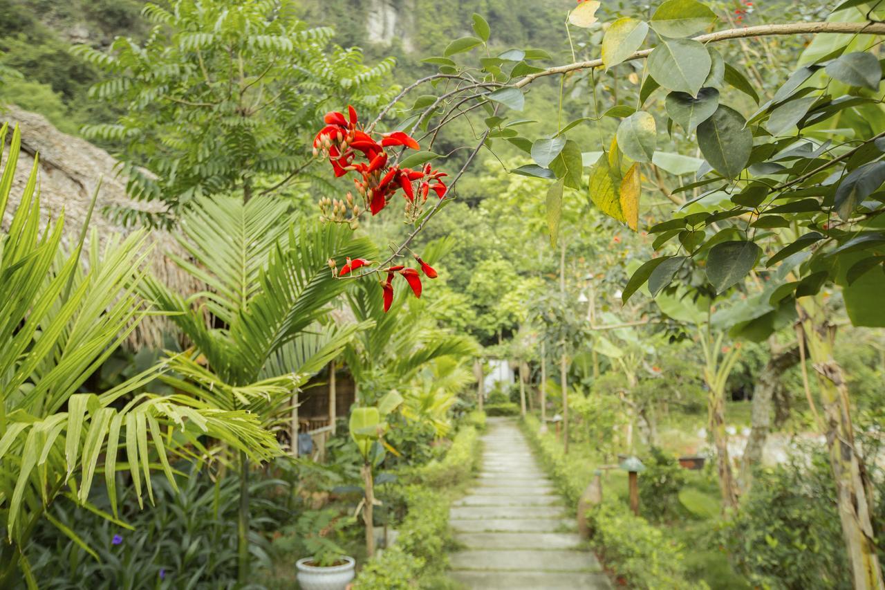 Tam Coc Rice Fields Resort Ninh Binh Esterno foto